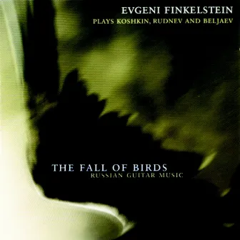 The Fall of Birds by Evgeni Finkelstein