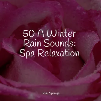 50 A Winter Rain Sounds: Spa Relaxation by Nature Ambience