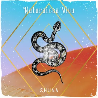 Naturaleza Viva by Chuna