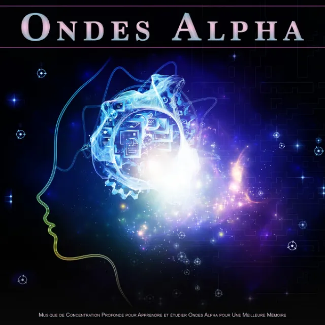 Etude Des Ondes Alpha