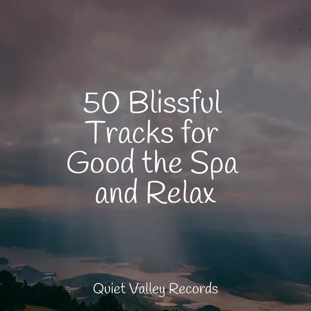 50 Blissful Tracks for Good the Spa and Relax