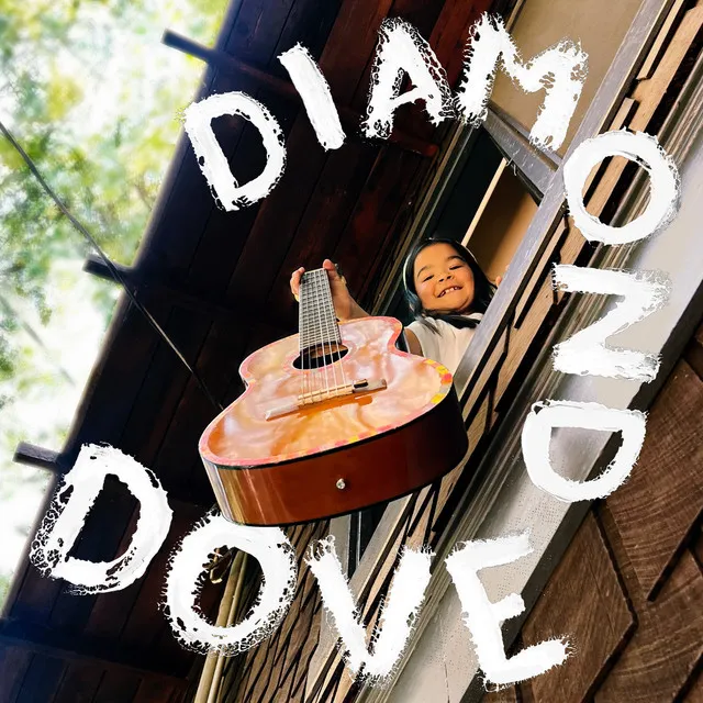 Diamond Dove - Acoustic