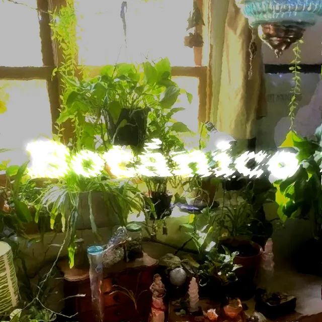 Botánico