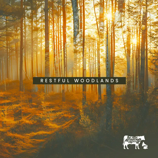 Restful Woodlands