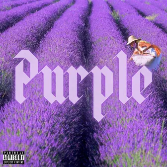 The Color Purple by E Fargo