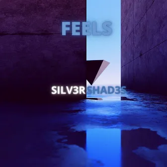 Feels by Silv3r Shad3s