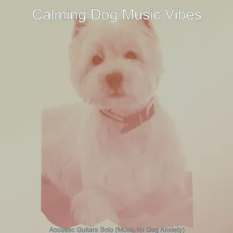 Acoustic Guitars Solo (Music for Dog Anxiety) by 