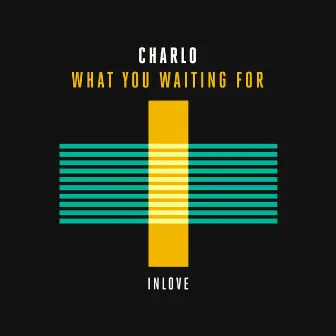 What You Waiting For by Charlo