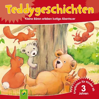 Teddygeschichten (Kleine Bären erleben lustige Abenteuer) by Erika Scheuering