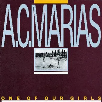 One Of Our Girls (Has Gone Missing) by A.C. Marias