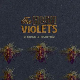 B-Sides & Rarities by The High Violets