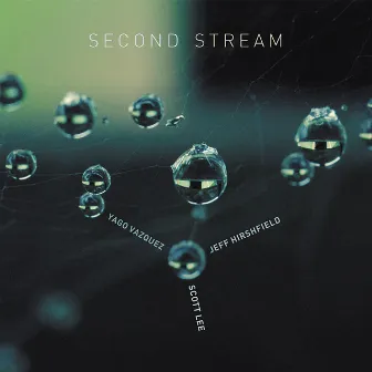 Second Stream by Jeff Hirshfield