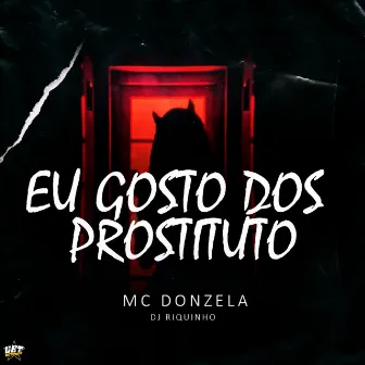 Eu Gosto dos Prostituto by Dj Riquinho