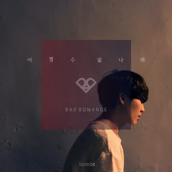 어쩔 수 없나봐 by Bad Romance