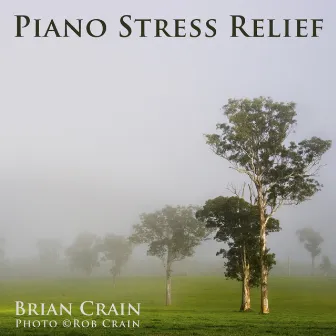 Piano Stress Relief by 1 Hour Music