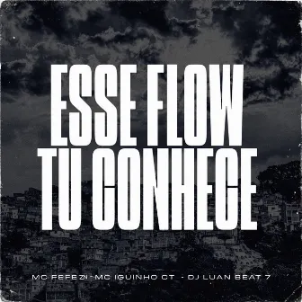 Esse Flow Tu Conhece by DJ Luan Beat 7