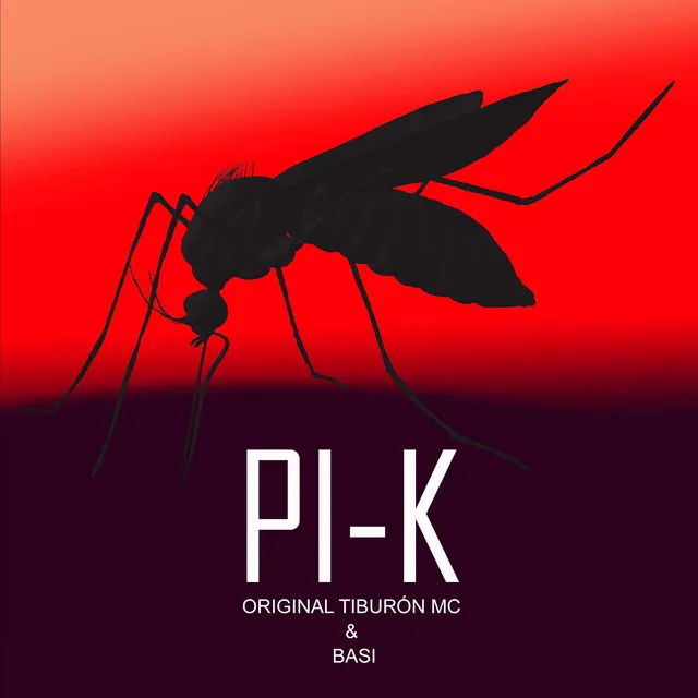 Pi-K