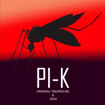 Pi-K by Basi