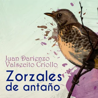 Zorzales de Antaño - Juan Darienzo - Valsecito Criollo by Orquesta De Juan Darienzo