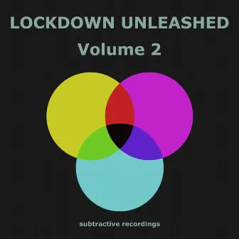 Lockdown Unleashed, Vo.2 by Trouble Within