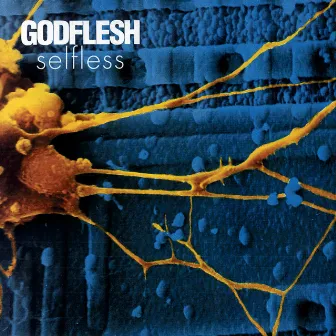 Xnoybis by Godflesh