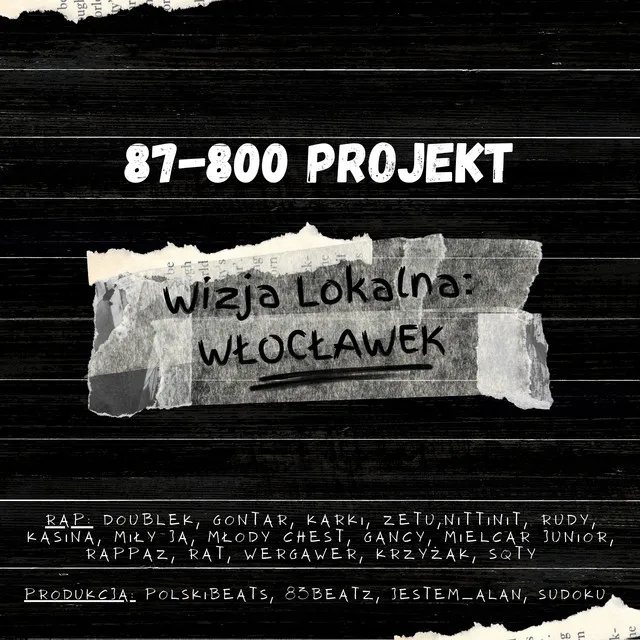 87-800 PROJEKT - WIZJA LOKALNA WŁOCŁAWEK