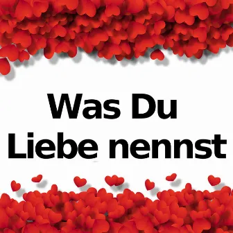 Was du Liebe nennst (Instrumentalversionen) by Was du Liebe nennst