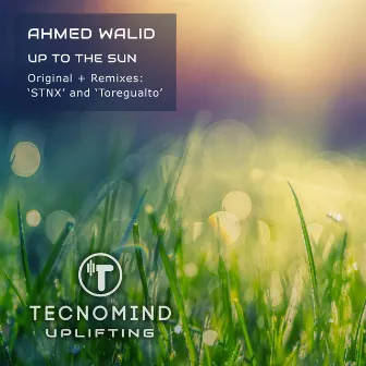 Up to The Sun by Ahmed Walid