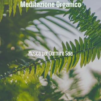 Meditazione Organico by 