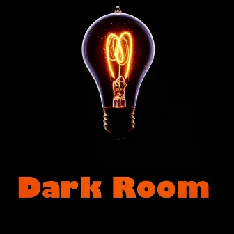 Dark Room by Howe