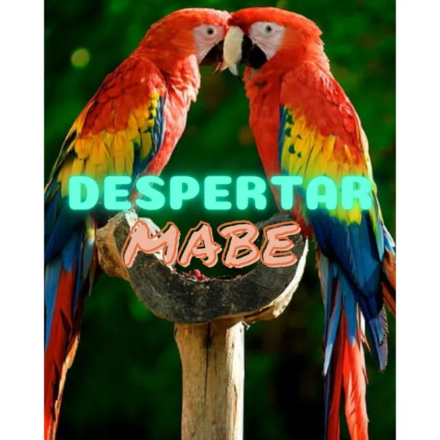 Despertar