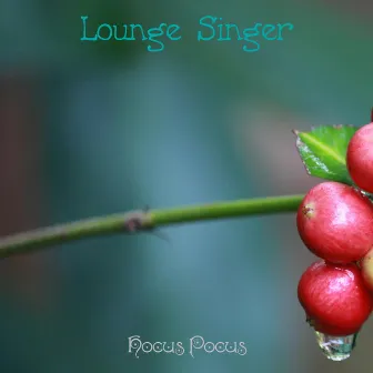 Lounge Singer by Hocus Pocus