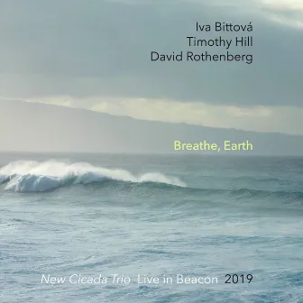 Breathe, Earth: New Cicada Trio Live in Beacon 2019 by Unknown Artist