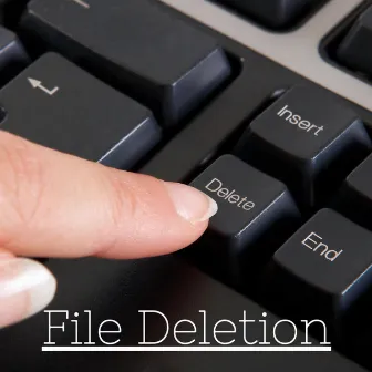 File Deletion by E-Genesis