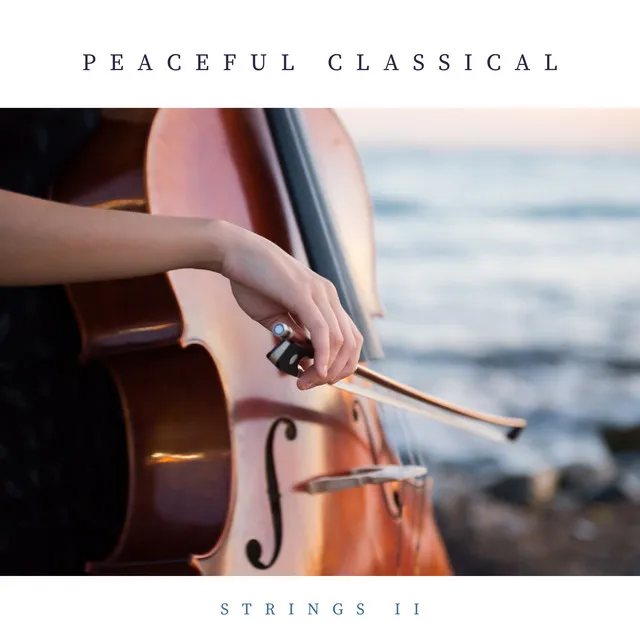 Serenade for Strings in E Major, Op. 22, B. 52: I. Moderato