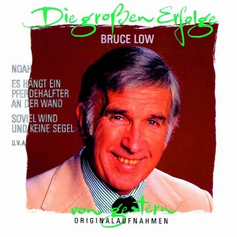 Die großen Erfolge von gestern by Bruce Low