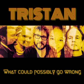 What Could Possibly Go Wrong by Tristan