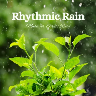 Rhythmic Rain: Music for Stress Relief by music from the firmament