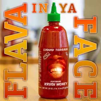 Flava in Ya Face by Liquid Terrain