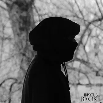 BROKE by Ibiscus