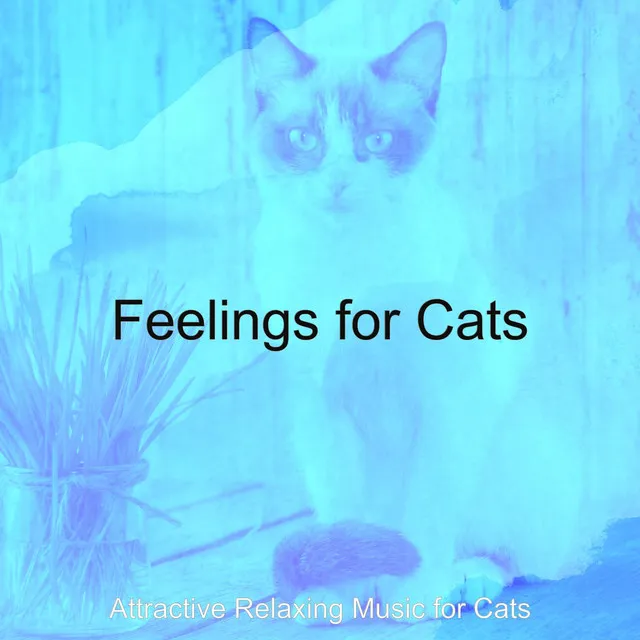 Easy Listening Guitar Soundtrack for Sleeping Cats