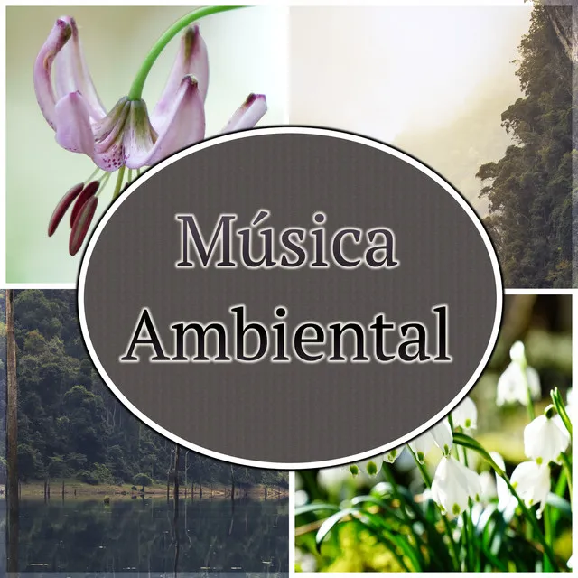 Música Ambiental - Música de Fondo, Música de Piano para la Relajación, Sonidos de la Naturaleza para la Lectura & Estudio, Música para Estudiar & para Dormir, Música Romantica