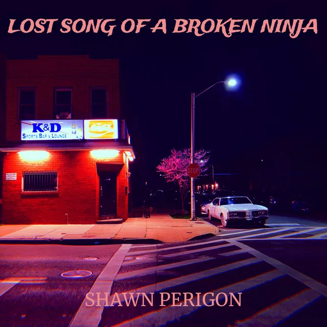 Lost Song of a Broken Ninja