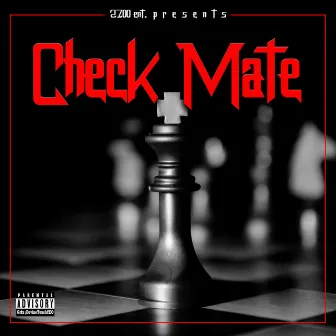 Check Mate by 2 Face