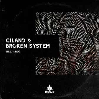 Breaking by Broken System