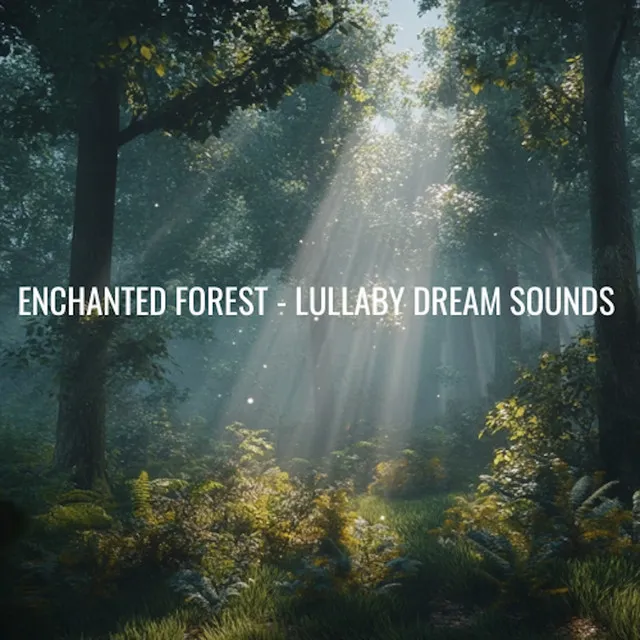 Enchanted Forest - Lullaby Dream Sounds