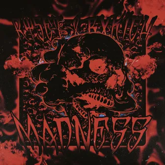 MADNESS by RYseT