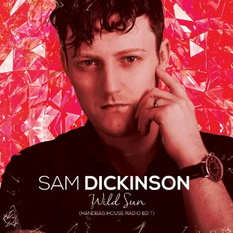 Wild Sun (Handbag House Radio Edit) by Sam Dickinson