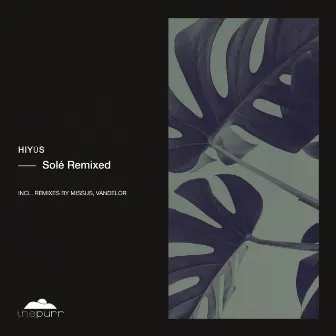 Solé Remixed by Hiyūs