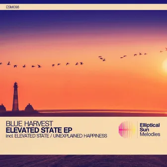 Elevated State by Blue Harvest